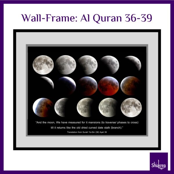 Beautiful Wall Frame Moon By Shukrea